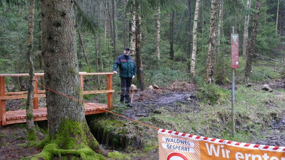 Der Rundwanderweg im Sollingmoor ist gesperrt. © Niedersächsische Landesforsten Foto: Michael Rudolph