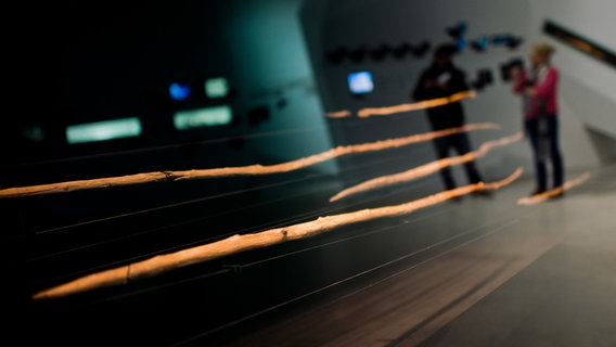 Die Schöninger Speere - die ältesten vollständig erhaltenen Holzwaffen der Menschheit - in einer Austellung. © dpa-Bildfunk Foto: Julian Stratenschulte