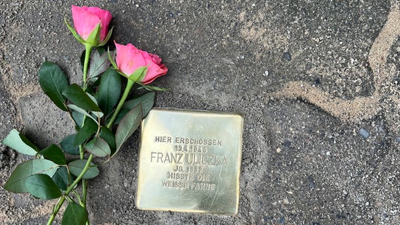 Der Stolperstein für Franz Uliczka in Schöningen (Landkreis Helmstedt). © NDR Foto: Matthias Zimmermann