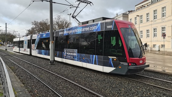 Eine Straßenbahn der Braunschweiger Verkehrs-GmbH fährt über Gleisschotter. Bei einer Gleisbegrünung soll dort eine insektenfreundliche Saatmischung verwendet werden, die Lebensraum beispielsweise für Wildbienen entstehen lässt. © picture alliance Foto: Christian Brahmann