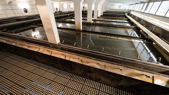 Zahlreiche Filter sind in einem Filterbecken vom Wasserwerk der Sösetalsperre im Harz zu sehen. © Swen Pförtner/dpa +++ dpa-Bildfunk +++ Foto: Swen Pförtner