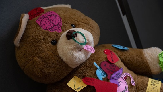 Ein Teddybär liegt im Teddybär-Krankenhaus am Uniklinikum Göttingen. © Swen Pförtner/dpa Foto: Swen Pförtner