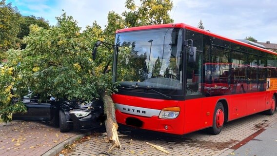 48-Jähriger hinterlässt nach Unfallfahrt mit PKW eine Spur der Verwüstung in Uslar © Polizei Uslar Foto: Polizei Uslar