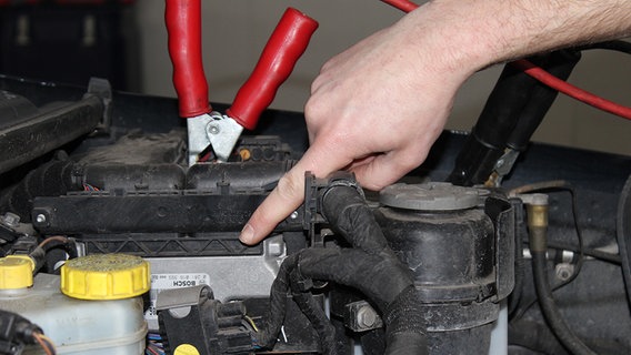 Ein Fahrzeugtechniker zeigt mit dem Finger auf die Steuereinheit im Motorraum. © NDR Foto: Carmen Woisczyk