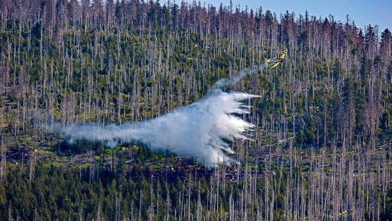 Ein Kleinlöschflugzeug wirft über dem Einsatzgebiet am Brocken Wasser ab. (Aufnahme vom 05. Juni 2023) © picture alliance/dpa Foto: Matthias Bein