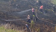 Einsatzkräfte der Feuerwehr löschen einen Waldbrand im Oberharz. © NonstopNews 