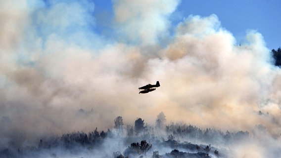 Ein Löschflugzeug fliegt über einen brennenden Wald. © dpa Foto: Andre Ferreira
