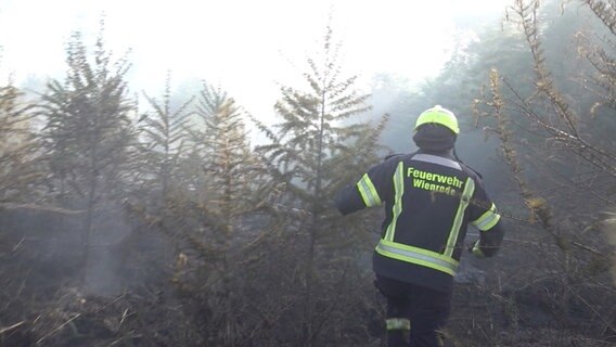 Einsatzkräfte der Feuerwehr bei einem Waldbrand. © Strauss-News Foto: Matthias Strauss