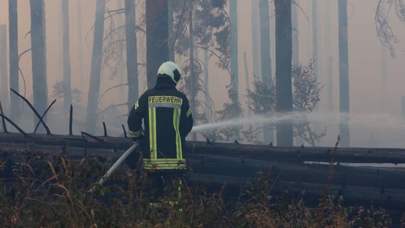 Eine Einsatzkraft der Feuerwehr steht in einem verrauchten Waldstück. © TeleNewsNetwork 