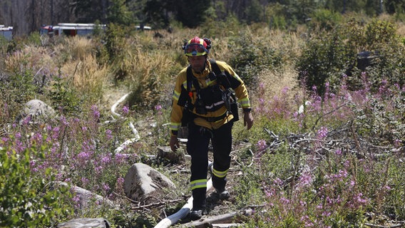 Ein Feuerwehrmann ist in einem Waldstück. © Matthias Bein/dpa Foto: Matthias Bein