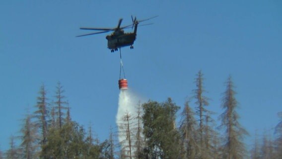 Ein Hubschrauber löscht einen Waldbrand. © TeleNewsNetwork 