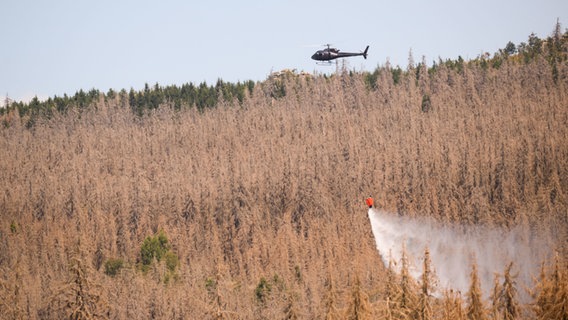 Ein Hubschrauber löscht einen Brand in einem Waldgebiet im Harz. © dpa Foto: Melissa Erichsen