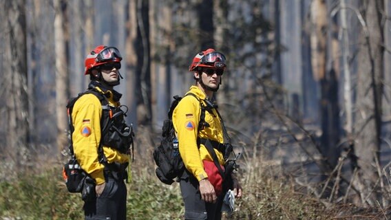 Einsatzkräfte der Fire Spezialeinheit unterstützen die Brandbekämpfung im Einsatzgebiet im Harz. © dpa Foto: Matthias Bein
