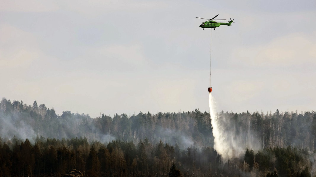 Pożar lasu rozprzestrzenia się pod ziemią w Broken |  NDR.de – Aktualności