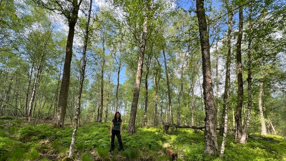 Försterin steht zwischen Moorbirken. Dieser lichte Moorbirkenwald soll bald wiedeer vernässt werden. © NDR Foto: Jan Fragel