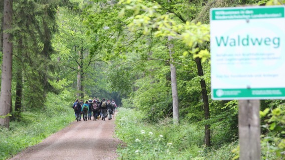 Eine Wandergruppe läuft auf einem Waldweg entlang. Ein Schild ist zu sehen, auf dem "Waldweg" steht. © Niedersächsische Landesforsten 