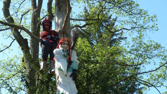 Eine Teufel-Puppe und eine Hexen-Puppe hängen von einem Baum. © NDR Foto: Tina Zemmrich