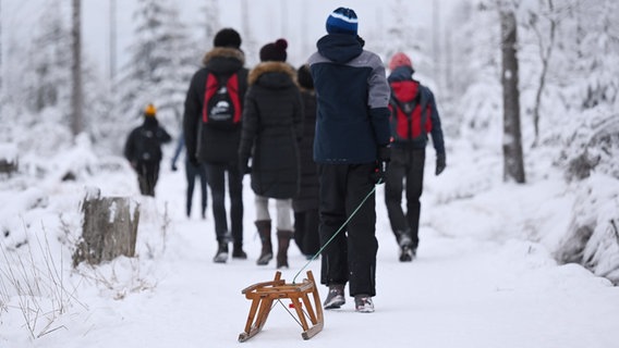 Eine Gruppe Wanderer geht durch den verschneiten Harz, einer zieht einen Schlitten hinter sich her. © picture alliance/dpa Foto: Swen Pförtner