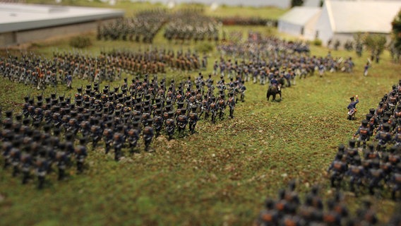 Ein Modell der Waterloo-Schlacht. © NDR Foto: Wolf-Hendrik Müllenberg