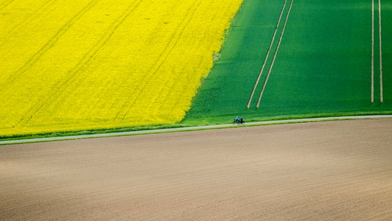Fahrradfahrer passieren Felder auf dem Weserradweg bei Fürstenberg in Niedersachsen. © dpa-Bildfunk Foto: Julian Stratenschulte