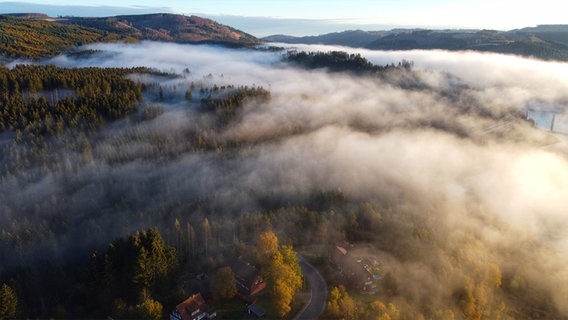 Blick auf die Okertalsperre bei Nebel. © NDR Foto: Knut Harms