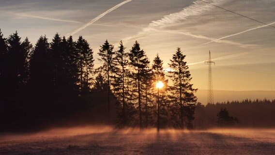 Sonnenaufgang in Zellerfeld im Oberharz. © NDR Foto: Yvonne Rieke