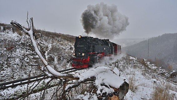 Eine Dampflok fährt durch den verschneiten Harz. © NDR Foto: Klaus D. Holzborn