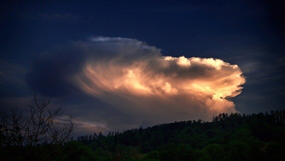 Eine Gewitterwolke zieht über einen Wald. © NDR Foto: Andreas Neunert