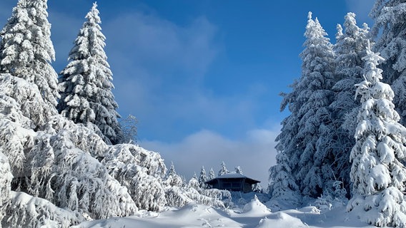 Blick auf eine verschneite Hütte im Harz. © NDR Foto: Angelika Steidle