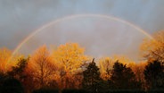 Ein Regenbogen am Heidesee in Gifhorn © NDR Foto: Arne Gailus