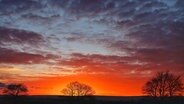 Morgenrot kurz vor Sonnenaufgang bei Clausthal Zellerfeld im Harz © NDR Foto: Christian Wuerzbach