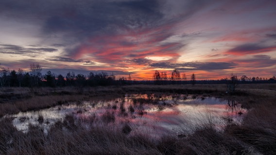 Sonnenaufgang im Hahnenmoor © NDR Foto: Ralf Feldmann