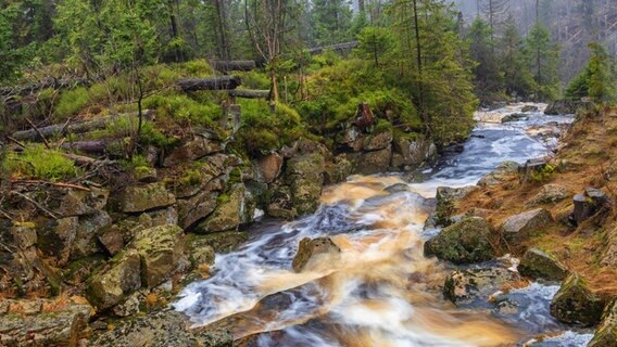 Ausflut des Oderteiches im Harz. (Wasser durch lange Belichtung verschwommen.) © NDR Foto: Ekkehard Schulz