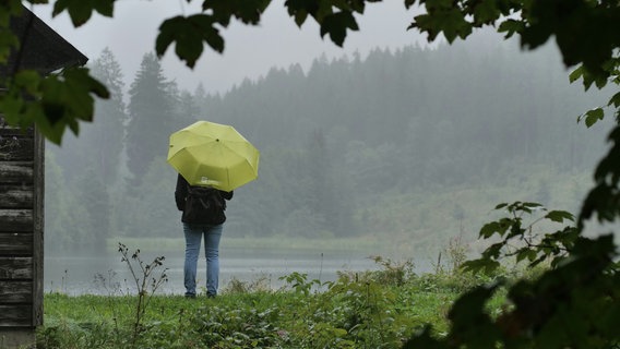 Eine Person mit Regenschirm steht im Spiegeltal zwischen Clausthal-Zellerfeld und Wildemann. © NDR Foto: Thomas Schrader