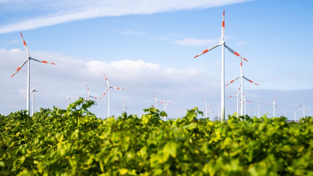 Mehrere Windräder stehen auf einem Feld in Niedersachsen.
