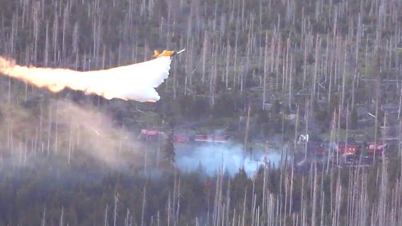 Ein Löschflugzeug bei einem Brand am Brocken. © TeleNewsNetwork 