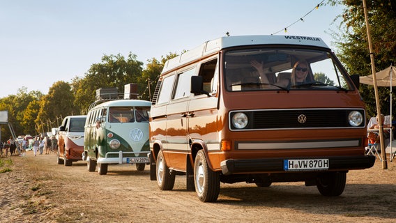 Mehrere VW Bullis verschiedener Modelljahre fahren auf ein Gelände. © Volkswagen 