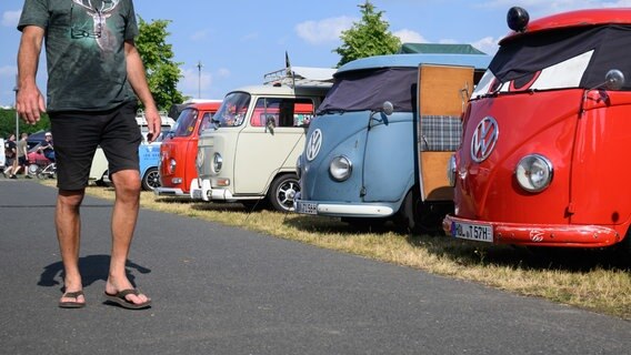 Volkswagen Bullis stehen beim VW-Bus-Festival auf dem Messegelände Hannover. © dpa Foto: Julian Stratenschulte