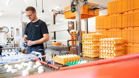 Geflügelhalter Holger Hogt aus Itterbeck Grafschaft Bentheim. © Timo Jaworr für agrarheute Foto: Timo Jaworr für agrarheute