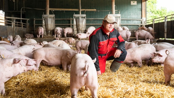 Schweinehalter Andreas Sprengel aus Bad Gandersheim hockt in einem Stall neben seinen Schweinen. © Timo Jaworr für agrarheute Foto: Timo Jaworr für agrarheute