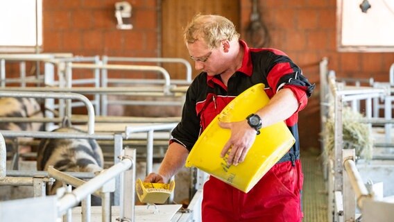 Schweinehalter Andreas Sprengel aus Bad Gandersheim füttert seine Schweine. © Timo Jaworr für agrarheute Foto: Timo Jaworr für agrarheute