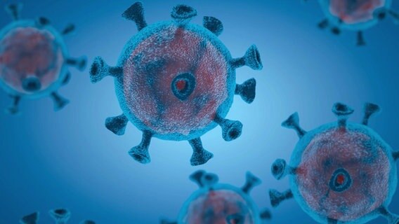 Eine Animation zeigt stilisierte Viren. © NDR 