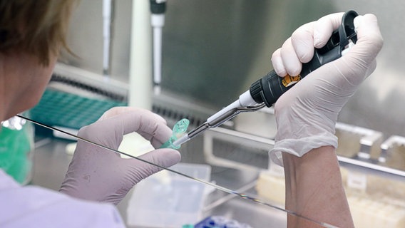 I campioni sono testati per il virus Sars-CoV-2.  © dpa-Bildfunk Foto: Bernd Vostink