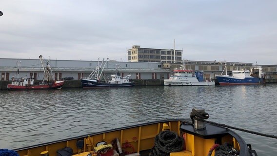 Blick auf den Fischereihafen in Cuxhaven. © NDR Foto: Joern Pietschke