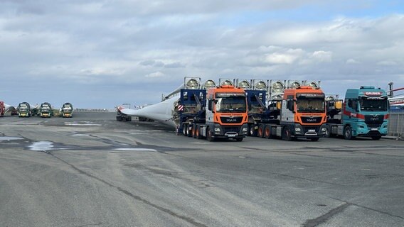 Mehrere Schwertransporter stehen mit Windradflügeln beladen auf einem Betriebsgelände in Cuxhaven. © NDR Foto: Thees Jagels