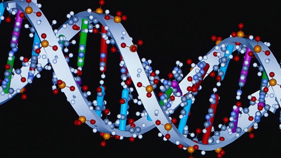 Schema eines DNA-Strangs © dpa/Picture-Alliance 