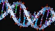 Schema eines DNA-Strangs © dpa/Picture-Alliance 