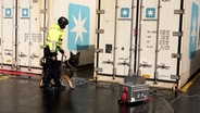 Ein Zollbeamter mit Spürhund vor Containern. © TeleNewsNetwork 