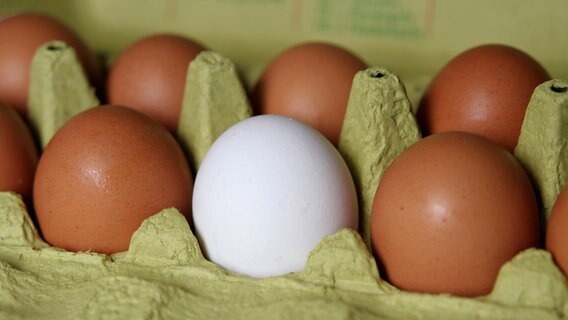 Eier © Colourbox 