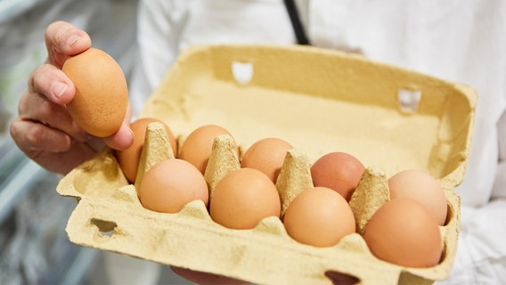 Kunde hält einen Pappkarton mit Eiern aus Freilandhaltung im Supermarkt oder Discounter. © picture alliance / Zoonar | Robert Kneschke Foto: Robert Kneschke
